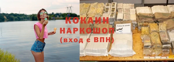 гидра Почеп
